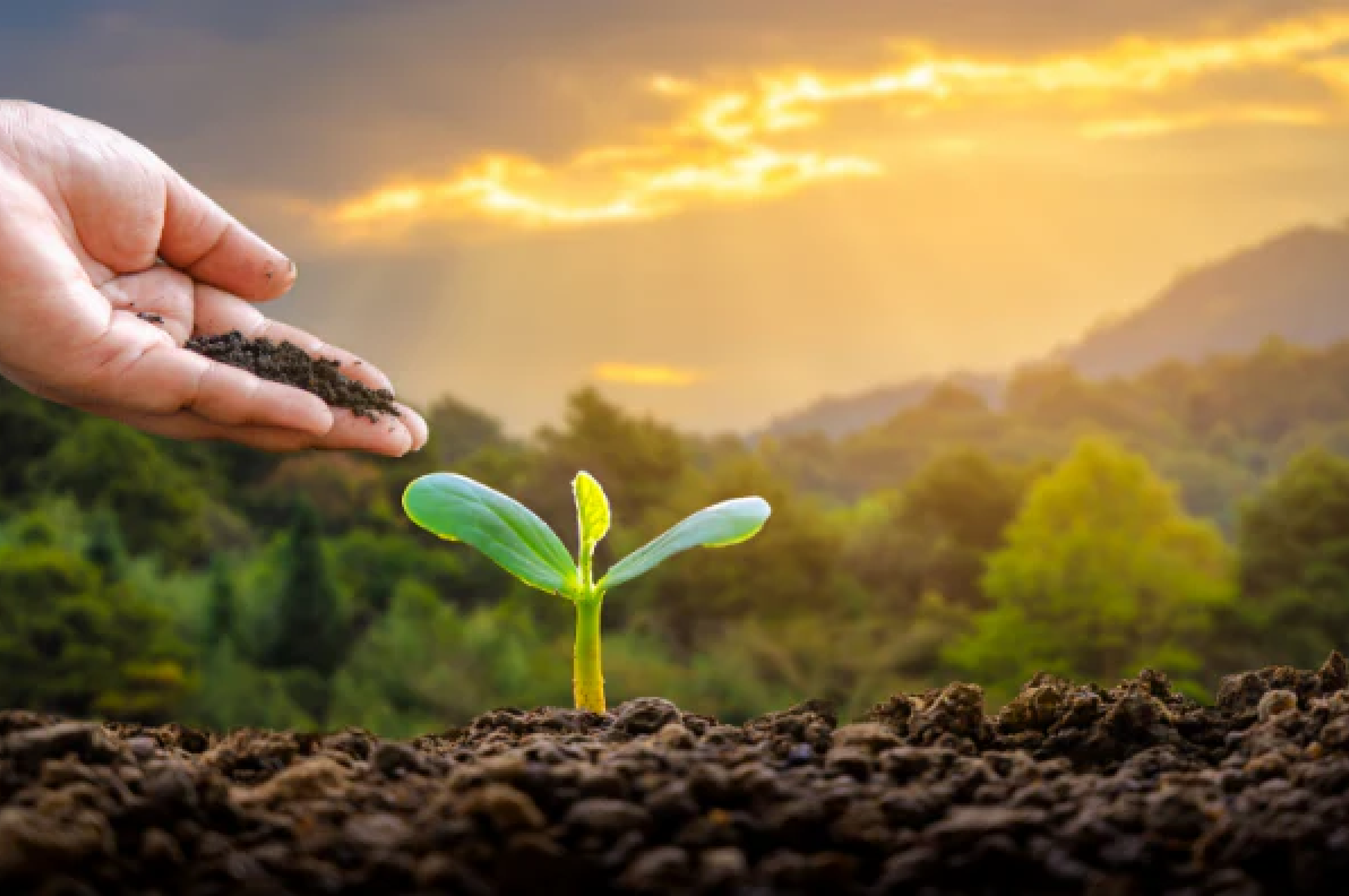 Environmental Conservation